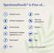 Neuroneeds SpectrumNeeds Berry SPECT Вітамінно-мінеральний комплекс для концентрації нервової сис-ми,когнітивна підтримка 252 грам NN-007 фото 7