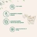 Microingredients Pantothenic Acid Vitamin B5, 365 Capsules, кислота пантотенова Б5 , 365 капсул 1692110590 фото