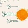 Microingredients Pure Organic Curcumin / Органічний порошок куркуми 50 грам 1696061592 фото