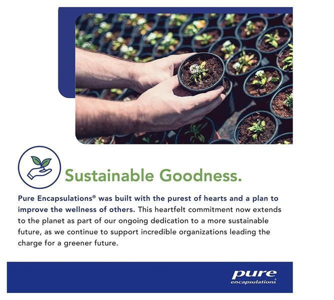Pure Encapsulations DGL Plus / Дегліциризинова солодка для здоров'я шлунка 180 капсул PE-018 фото