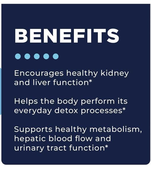 CellCore KL Support Drainage and Immune support / Підтримка імунітету , функції нирок і печінки 120 капсул CELL-006 фото