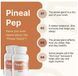 Integrative peptides PinealPep Purified Bioregulator / Пептид Біорегулятор Нейропептид Епіфізу та кори головного мозку 60 кап IP-015 фото 4