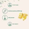Pumpkin Seed oil, 240 Capsules, 2000mg / Олія насіння гарбуза 300 капсул MI-006 фото