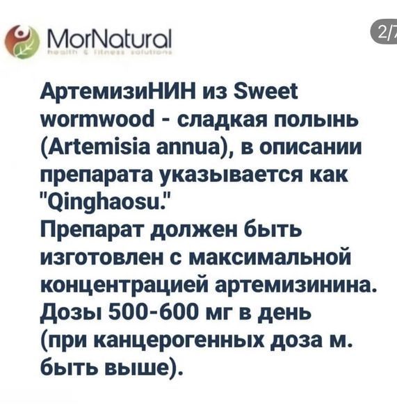 Healthy Drops Liposomal Artemisinin / BIOAVAILABLE Immune supplement Artemisinin Annua / Ліпосомальний артемізинин 236 мл HD-007 фото