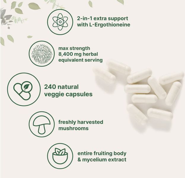 Micro Ingredients Lions (Lion&rsquo;s) Mane Supplement with L-Ergothioneine/ Їжовик гребінчастий органік з Ерготіаніном 240 капсул MI-022 фото